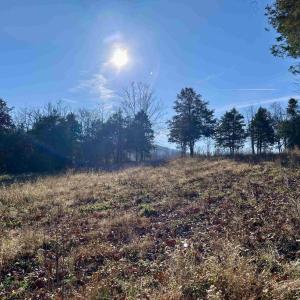 Photo #17 of HARPER VALLEY RD, LURAY, VA 8.2 acres