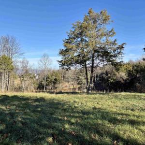 Photo #10 of HARPER VALLEY RD, LURAY, VA 8.2 acres