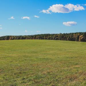 Photo #12 of Lot 12 BRIERY CREEK RD, SCOTTSVILLE, VA 10.2 acres