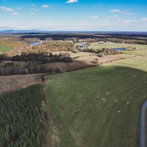 Photo #8 of Lot 12 BRIERY CREEK RD, SCOTTSVILLE, VA 10.2 acres