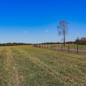 Photo #15 of Lot 12 BRIERY CREEK RD, SCOTTSVILLE, VA 10.2 acres