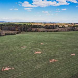 Photo #5 of Lot 12 BRIERY CREEK RD, SCOTTSVILLE, VA 10.2 acres