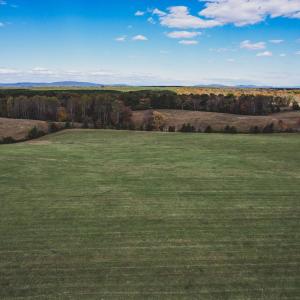Photo #3 of Lot 12 BRIERY CREEK RD, SCOTTSVILLE, VA 10.2 acres