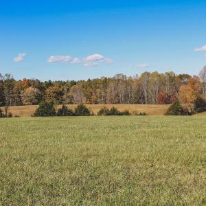 Photo #9 of Lot 12 BRIERY CREEK RD, SCOTTSVILLE, VA 10.2 acres