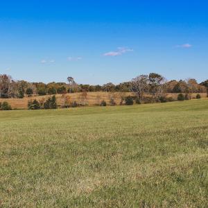 Photo #11 of Lot 12 BRIERY CREEK RD, SCOTTSVILLE, VA 10.2 acres
