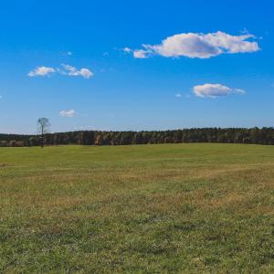 Photo #6 of Lot 12 BRIERY CREEK RD, SCOTTSVILLE, VA 10.2 acres