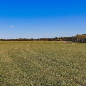 Photo #14 of Lot 12 BRIERY CREEK RD, SCOTTSVILLE, VA 10.2 acres