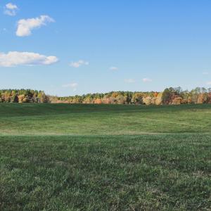 Photo #13 of Lot 12 BRIERY CREEK RD, SCOTTSVILLE, VA 10.2 acres