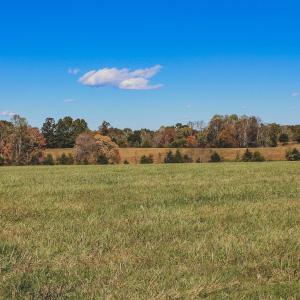 Photo #10 of Lot 12 BRIERY CREEK RD, SCOTTSVILLE, VA 10.2 acres