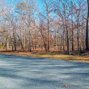 Photo #11 of 85 MAY APPLE LN, NELLYSFORD, VA 0.9 acres