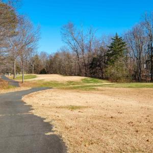 Photo #3 of 85 MAY APPLE LN, NELLYSFORD, VA 0.9 acres