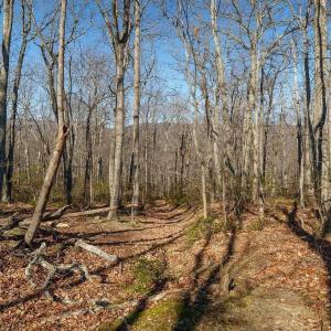 Photo #12 of Lot 2 HANDLEY WAY, AFTON, VA 22.0 acres