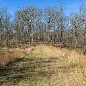 Photo #2 of Lot 2 HANDLEY WAY, AFTON, VA 22.0 acres