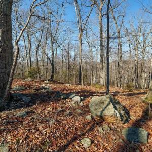 Photo #11 of Lot 2 HANDLEY WAY, AFTON, VA 22.0 acres