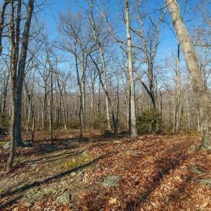 Photo #10 of Lot 2 HANDLEY WAY, AFTON, VA 22.0 acres