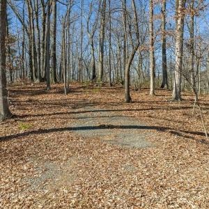 Photo #4 of Lot 2 HANDLEY WAY, AFTON, VA 22.0 acres