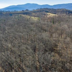 Photo #13 of Lot 2 HANDLEY WAY, AFTON, VA 22.0 acres