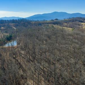 Photo #22 of Lot 2 HANDLEY WAY, AFTON, VA 22.0 acres