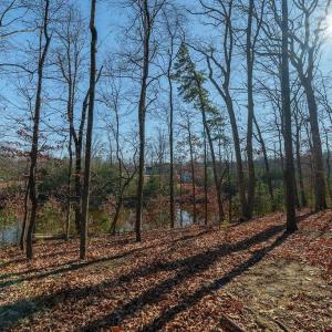 Photo #5 of Lot 2 HANDLEY WAY, AFTON, VA 22.0 acres