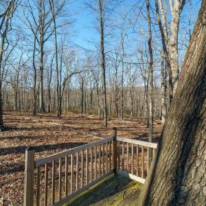 Photo #9 of Lot 2 HANDLEY WAY, AFTON, VA 22.0 acres