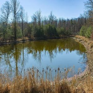Photo #26 of Lot 2 HANDLEY WAY, AFTON, VA 22.0 acres