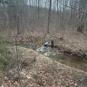 Photo #4 of TBD UNION HILL DR, WINGINA, VA 20.3 acres