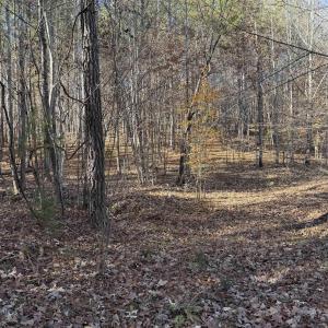 Photo #9 of TBD UNION HILL DR, WINGINA, VA 20.3 acres
