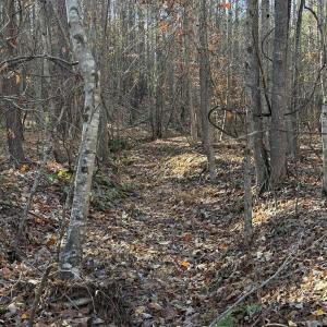 Photo #12 of TBD UNION HILL DR, WINGINA, VA 20.3 acres