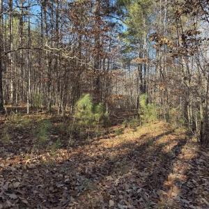 Photo #8 of TBD UNION HILL DR, WINGINA, VA 20.3 acres