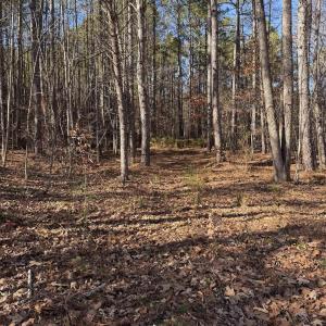 Photo #1 of TBD UNION HILL DR, WINGINA, VA 20.3 acres