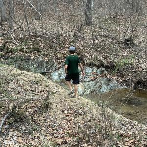 Photo #3 of TBD UNION HILL DR, WINGINA, VA 20.3 acres