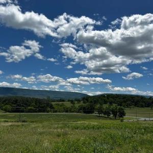 Photo #2 of TBD TURKEY KNOB RD, QUICKSBURG, VA 4.4 acres