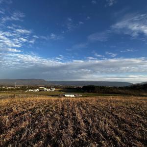 Photo #6 of TBD TURKEY KNOB RD, QUICKSBURG, VA 4.4 acres