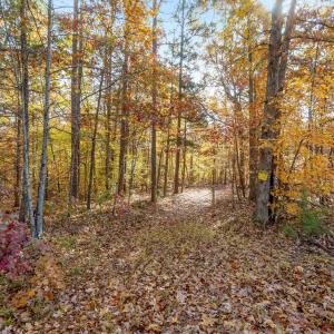 Photo #5 of DELL PERKINS RD, LOUISA, VA 3.0 acres