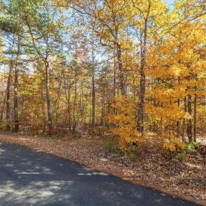 Photo #9 of DELL PERKINS RD, LOUISA, VA 3.0 acres