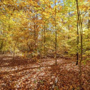 Photo #8 of DELL PERKINS RD, LOUISA, VA 3.0 acres