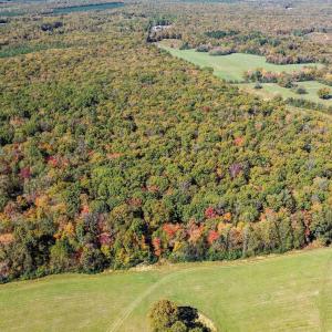 Photo #10 of Lot 5 COLES ROLLING RD, SCOTTSVILLE, VA 21.0 acres