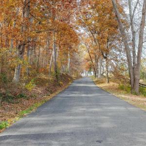 Photo #9 of Lot 5 COLES ROLLING RD, SCOTTSVILLE, VA 21.0 acres