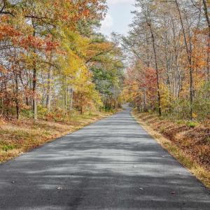 Photo #7 of Lot 5 COLES ROLLING RD, SCOTTSVILLE, VA 21.0 acres