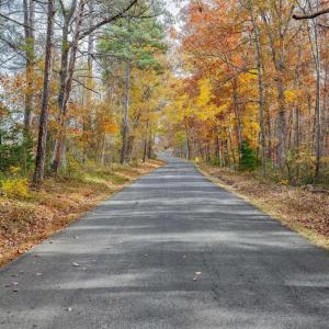 Photo #7 of Lot 3 COLES ROLLING RD, SCOTTSVILLE, VA 4.2 acres