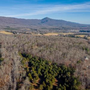 Photo #10 of WOODLAND DR, LURAY, VA 1.6 acres