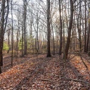 Photo #19 of WOODLAND DR, LURAY, VA 1.6 acres