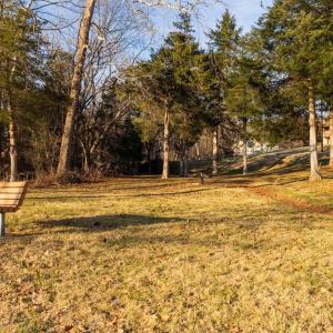 Photo #26 of WOODLAND DR, LURAY, VA 1.6 acres