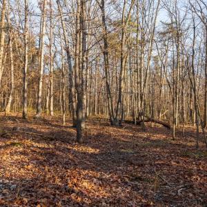 Photo #23 of WOODLAND DR, LURAY, VA 1.6 acres