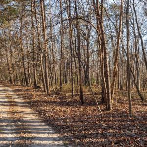 Photo #21 of WOODLAND DR, LURAY, VA 1.6 acres