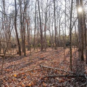 Photo #1 of WOODLAND DR, LURAY, VA 1.6 acres