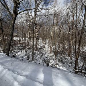 Photo #3 of 25 POLL AXE LN, WINTERGREEN RESORT, VA 0.4 acres