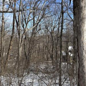 Photo #4 of 25 POLL AXE LN, WINTERGREEN RESORT, VA 0.4 acres