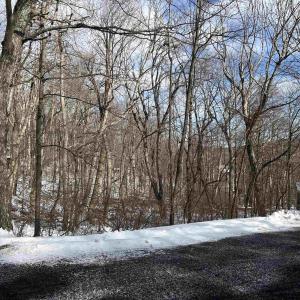 Photo #2 of 25 POLL AXE LN, WINTERGREEN RESORT, VA 0.4 acres