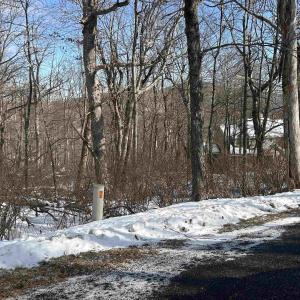 Photo #3 of 25 POLL AXE LN, WINTERGREEN RESORT, VA 0.4 acres